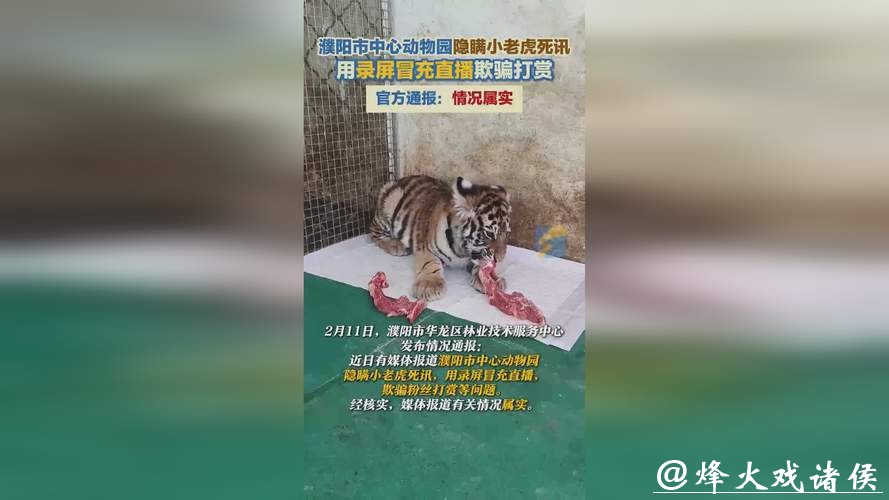 动物园隐瞒网红小老虎死讯,用录屏冒充直播欺骗粉丝打赏!多部门介入调查 动物园隐瞒网红小老虎死讯,用录屏冒充直播欺骗粉丝打赏!多部门介入调查