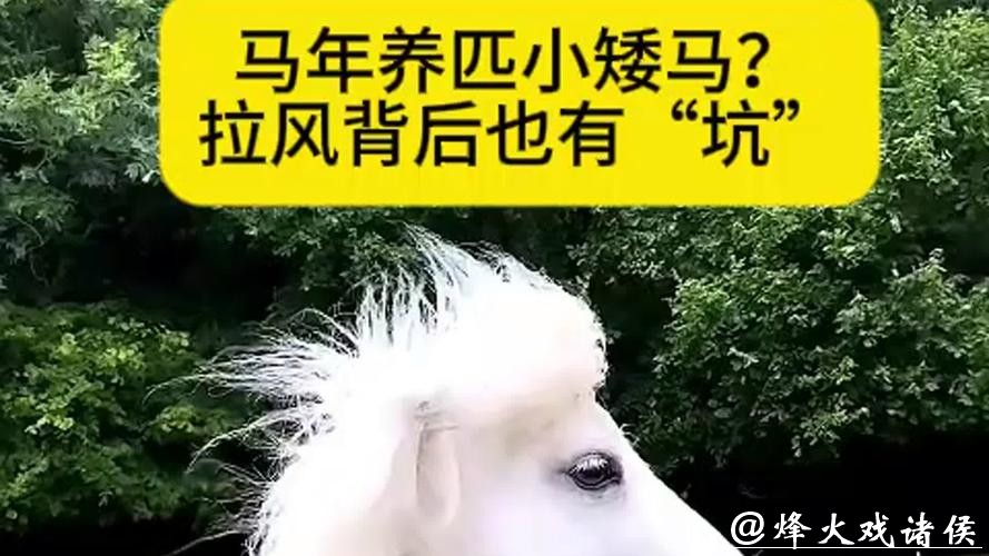 微言 | 马年养匹小矮马？拉风背后也有“坑”